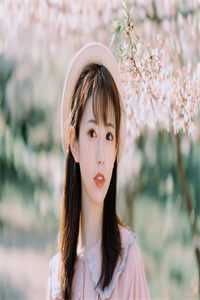 安知愿宋聿