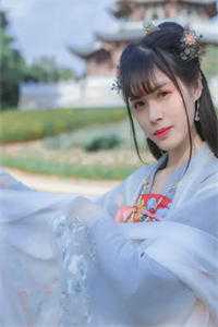 梧桐未见情深连载