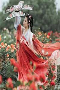 官府强制相亲，我怒嫁罪臣柳香香向耀先后续+全文
