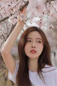 女儿边境失联，我却淡定回乡过节书目
