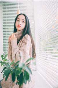 被继女送去窝点后，我回了自己家完本
