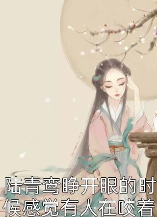 大乾最狂驸马爷