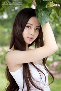 又见一帘人生