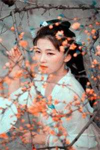 明月高悬，独不照我