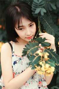 明月洒清辉