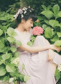 再见自是上上签