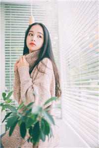 保胎失败，我一个人飞往沙漠