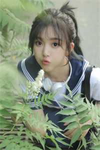 只愿各自山海间