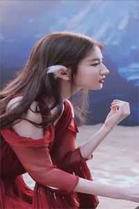 血色郁金香：爱在癌痛蔓延时