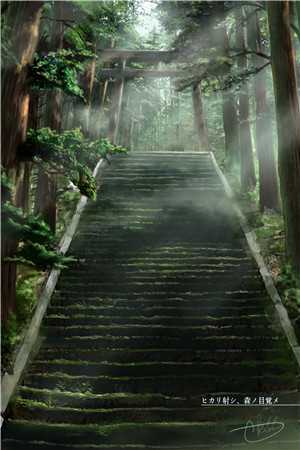 我的星辰之道