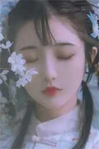 梨花望晚风
