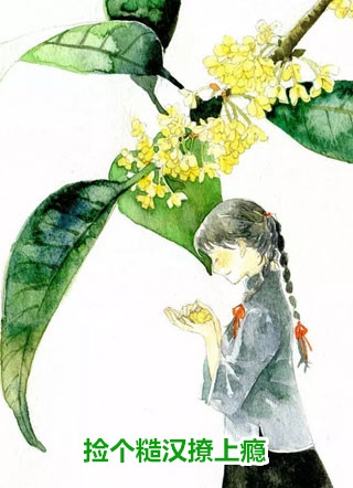 从此无心爱良夜