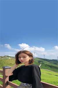 双子