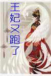 婚姻失败后，我权倾天下