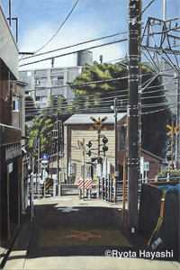 鱼鸟不同路，再也不见